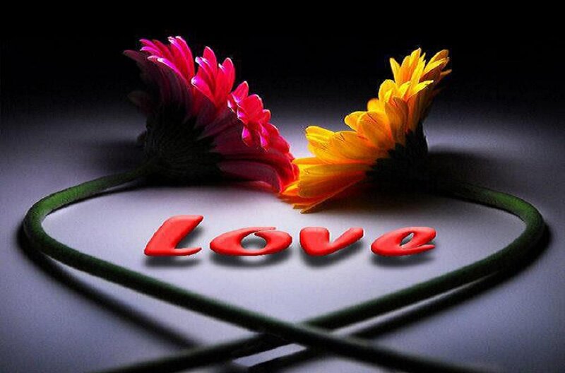 Two Flowers Forming Heart