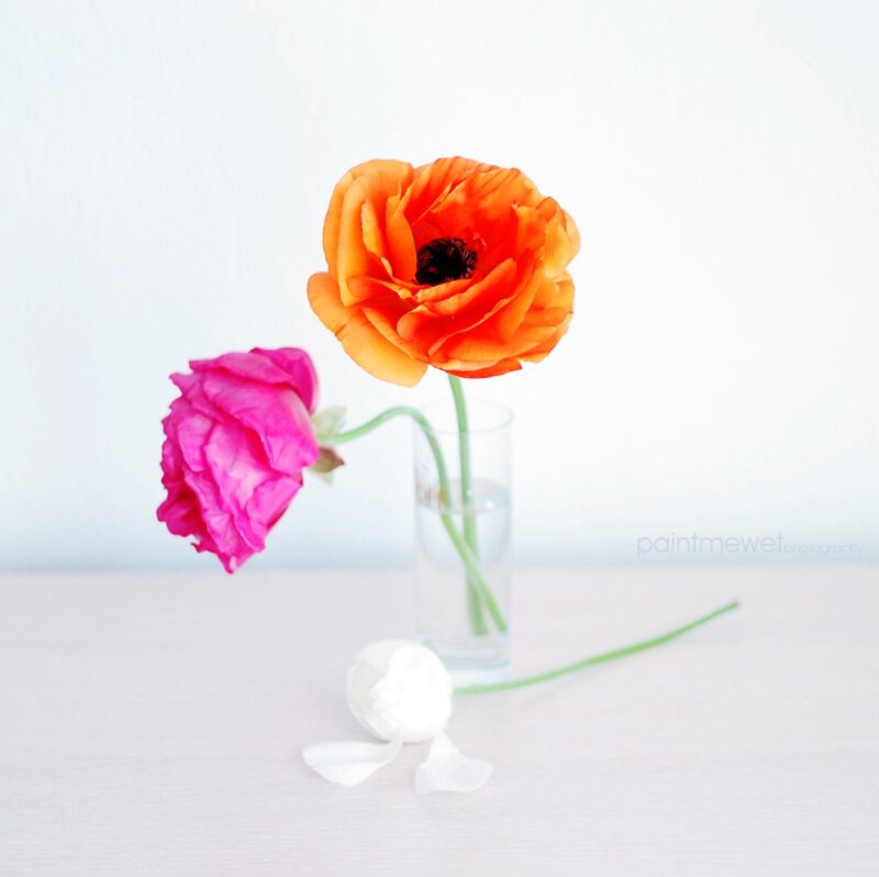 Two Flowers in a Vase — Orange