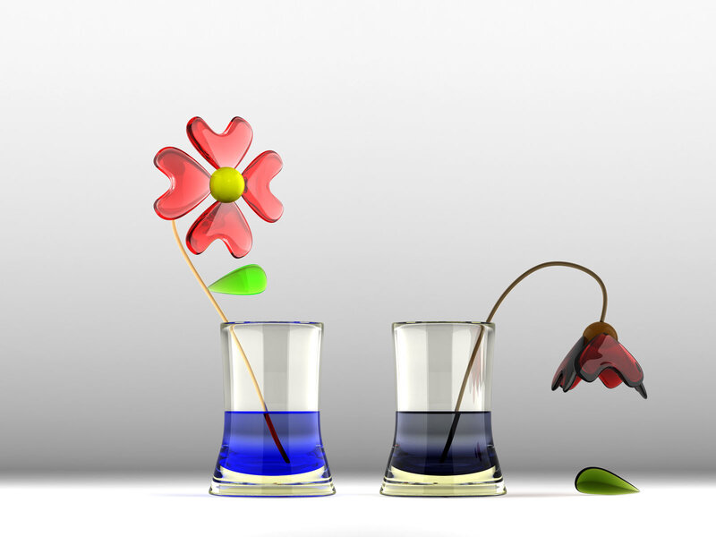 Two flowers in vases