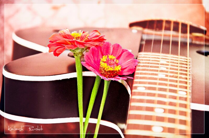 Two Flowers on Guitar