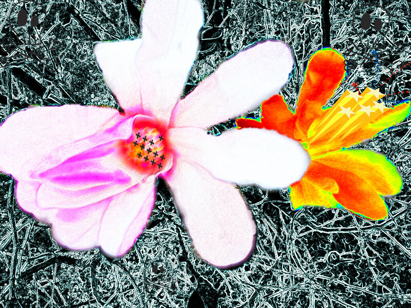 Two Flowers on Twigs