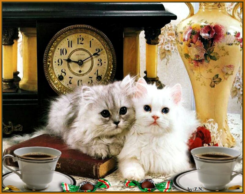 Two Fluffy Kittens — White, Calm, Photograph, Clock