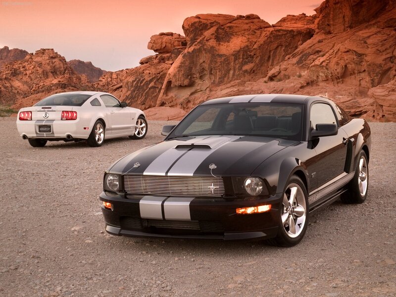 Two Ford Mustang Cars — Black, Dramatic