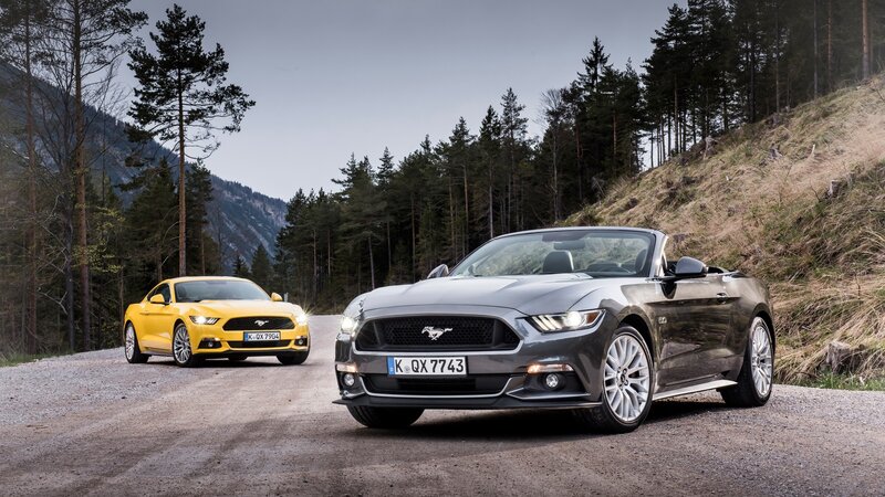 Two Ford Mustang Cars — Gray