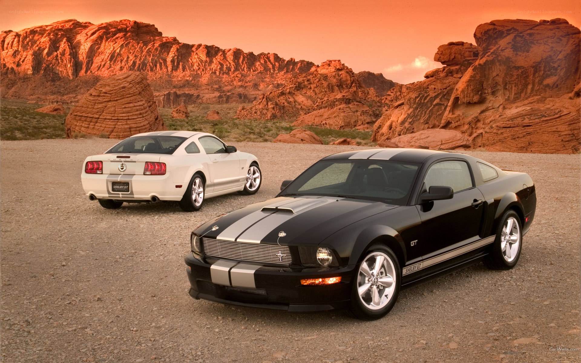 Two Ford Mustang GTs in desert