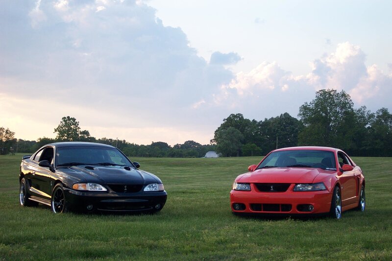 Two Ford Mustangs in a field