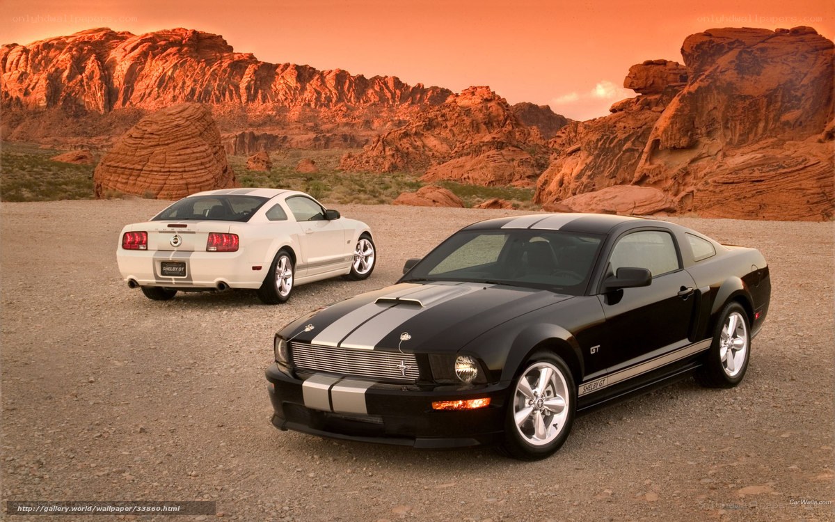 Two Ford Mustangs in desert
