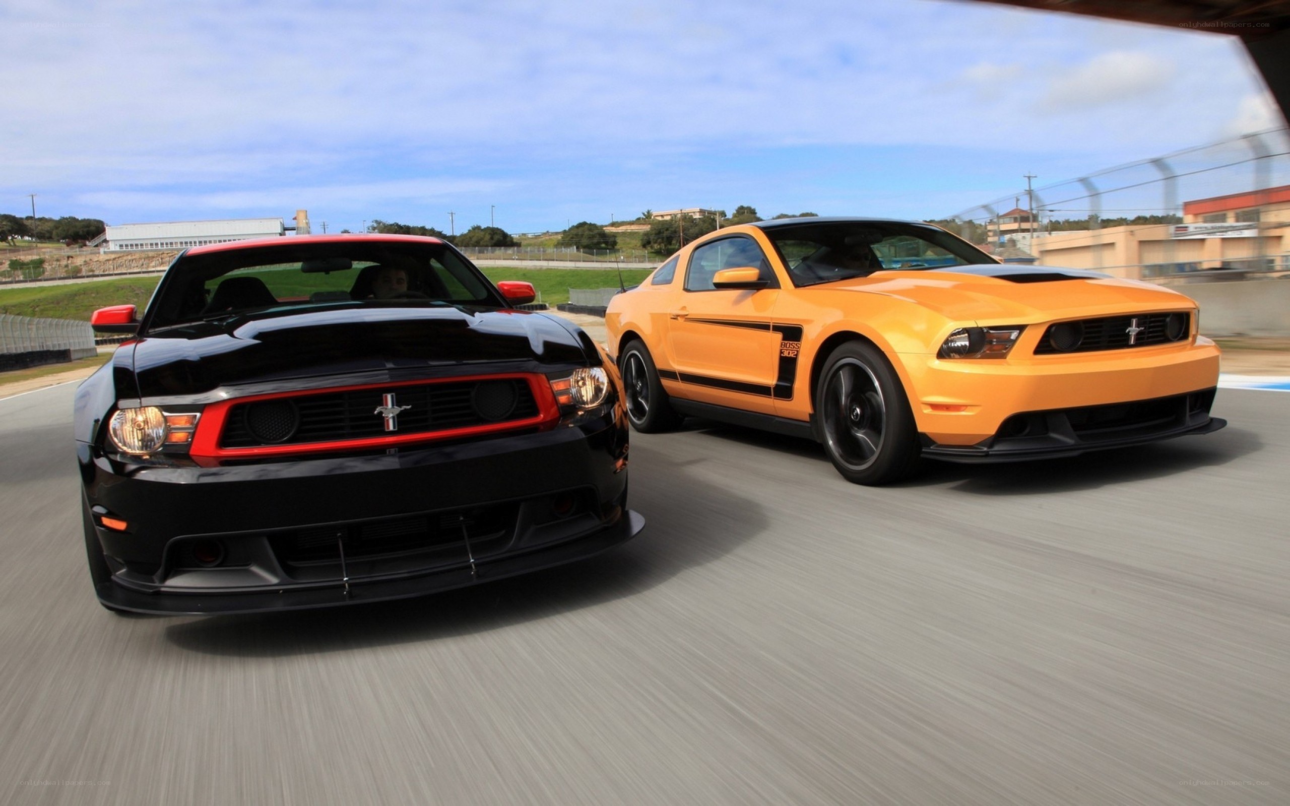 Two Ford Mustangs on a racetrack