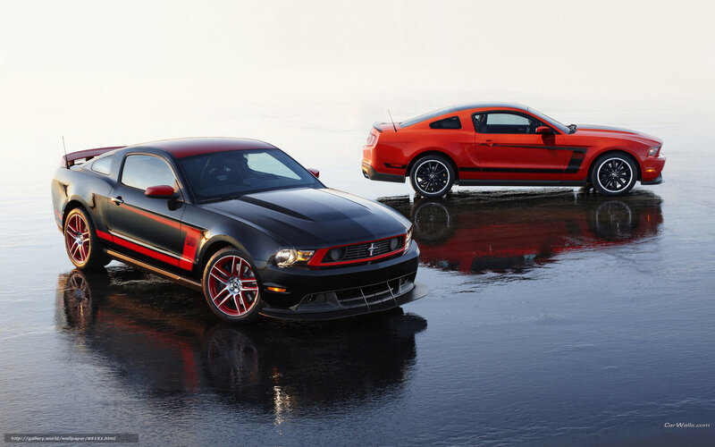 Two Ford Mustangs on wet surface