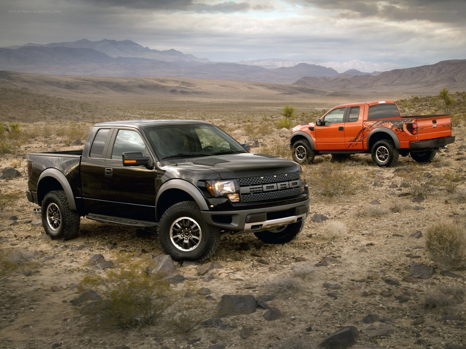 Two Ford Raptor trucks in desert