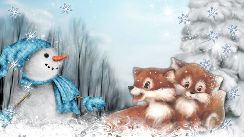 Two Fox Kits in Snow