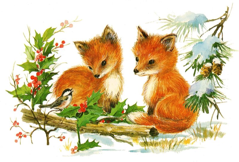 Two Fox Kits — Orange, Peaceful