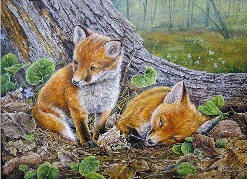 Two Fox Kits — Orange