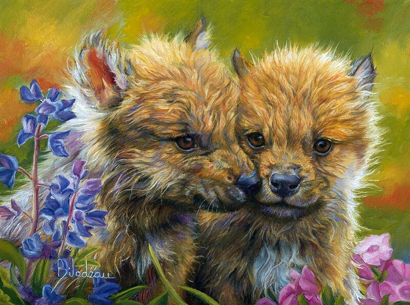 Two Fox Kits — Yellow
