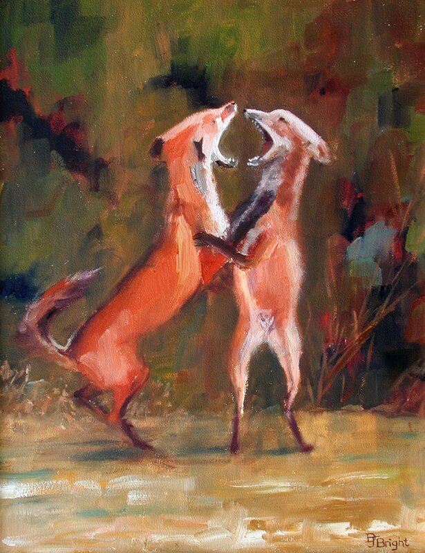 Two foxes fighting