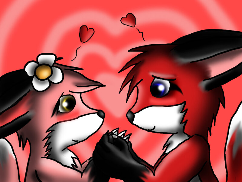 Two Foxes Holding Paws
