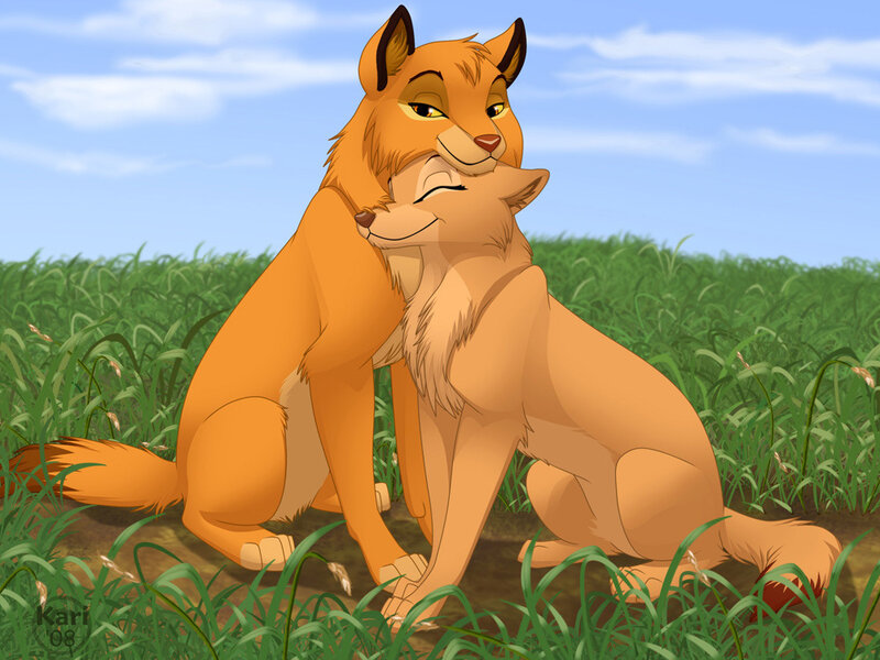 Two Foxes Hugging