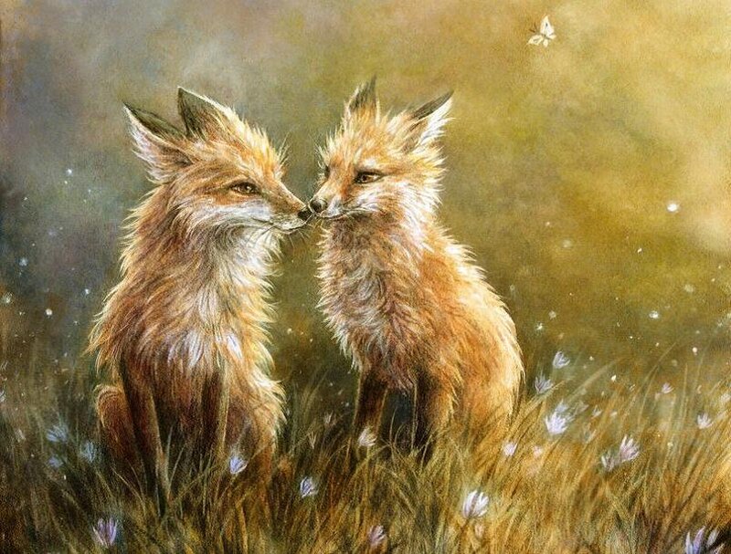 Two Foxes in Grass — Brown