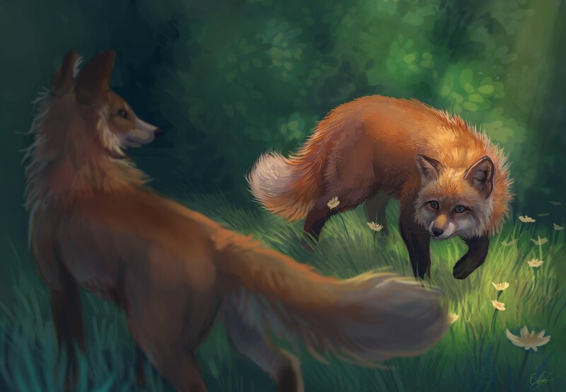 Two Foxes in Grass — Green, Serene