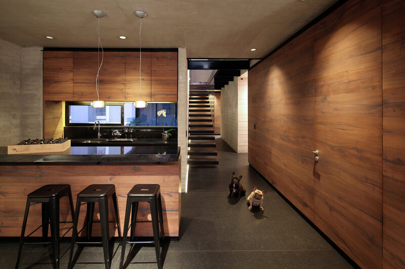 Two French Bulldogs — Brown, Modern