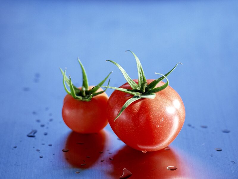 Two fresh tomatoes on blue