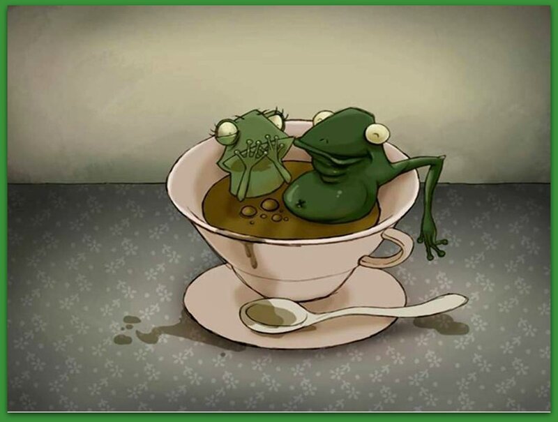 Two Frogs in a Teacup