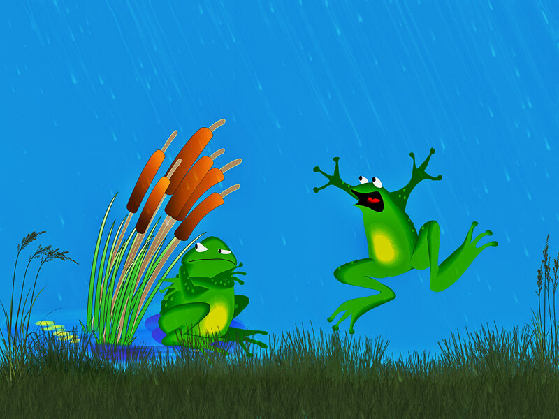 Two Frogs in Rain