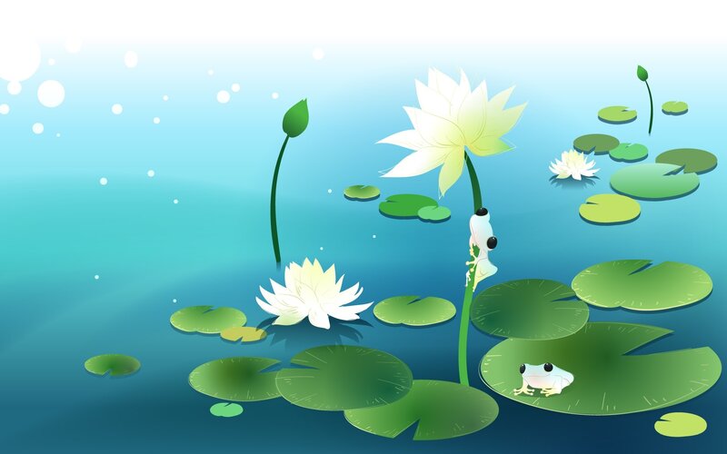 Two Frogs on Lily Pads