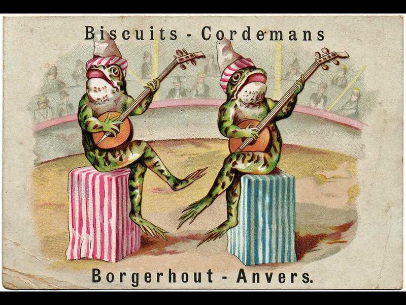 Two Frogs Playing Instruments