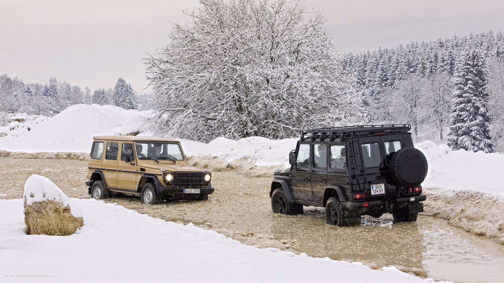 Two G-Wagons in snowy landscape