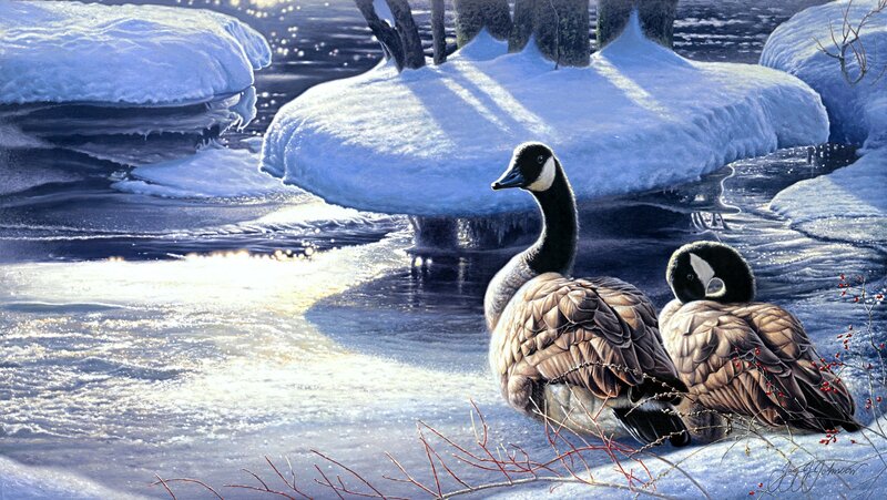 Two Geese in Snow