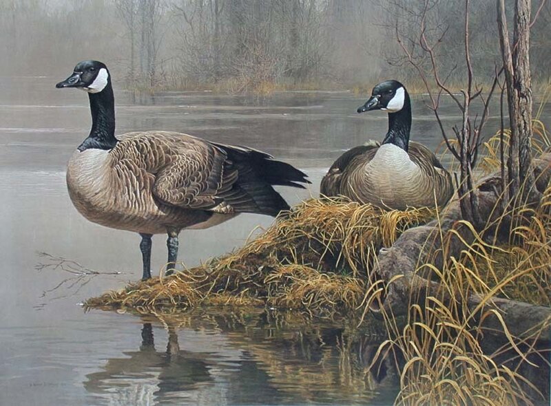 Two geese on a marshy bank