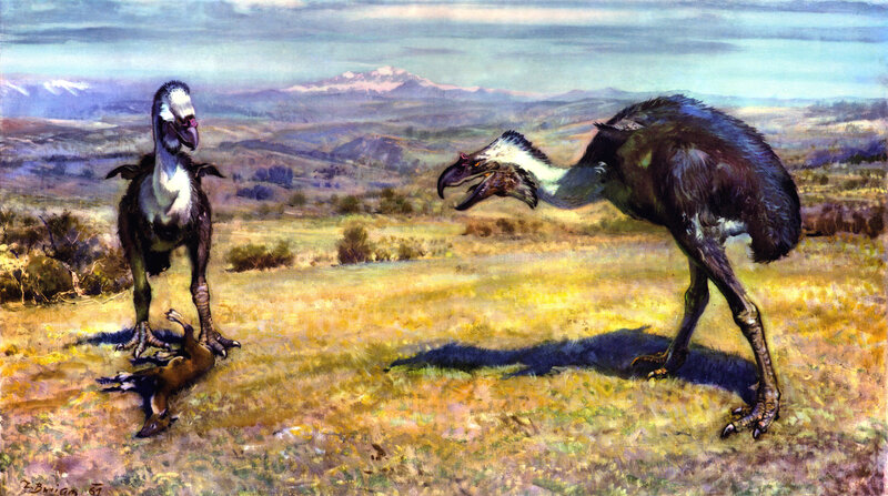 Two giant birds in a prehistoric landscape