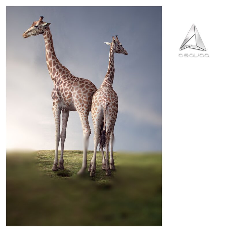 Two giraffes on a hill