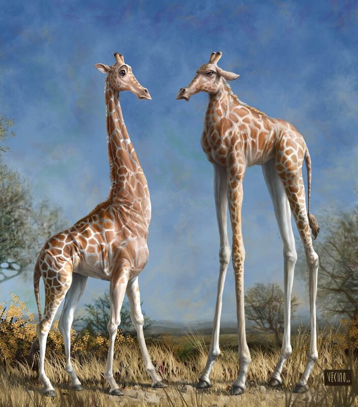 Two Giraffes Standing — Blue, Serene