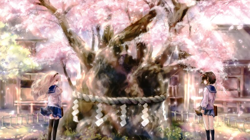 Two Girls at Cherry Blossom Tree — Pink, Serene