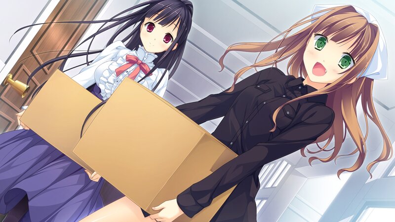 Two Girls Carrying a Box
