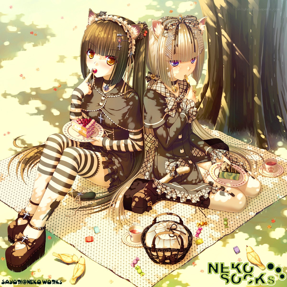 Two girls having a picnic