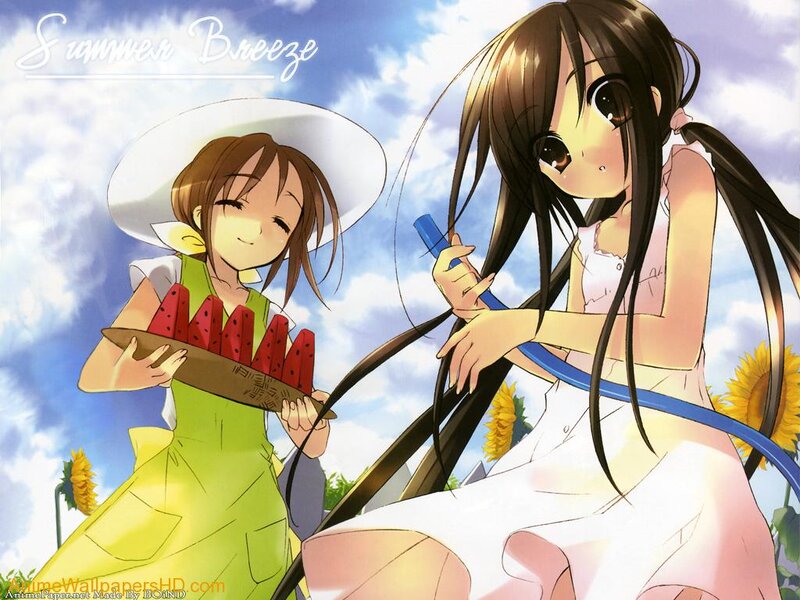 Two Girls in a Field — Blue, Serene, Summer