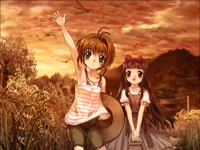 Two Girls in a Field — Orange, Serene, Sunset, Anime, Dragonflies