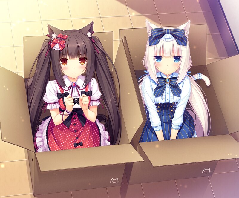 Two Girls in Boxes