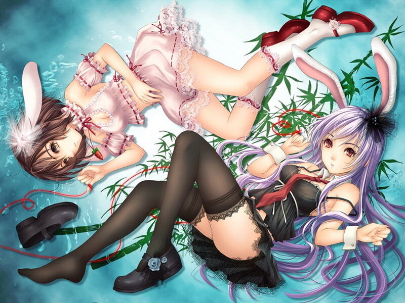 Two girls in bunny costumes underwater
