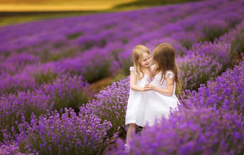 Two Girls in Lavender Field — Purple