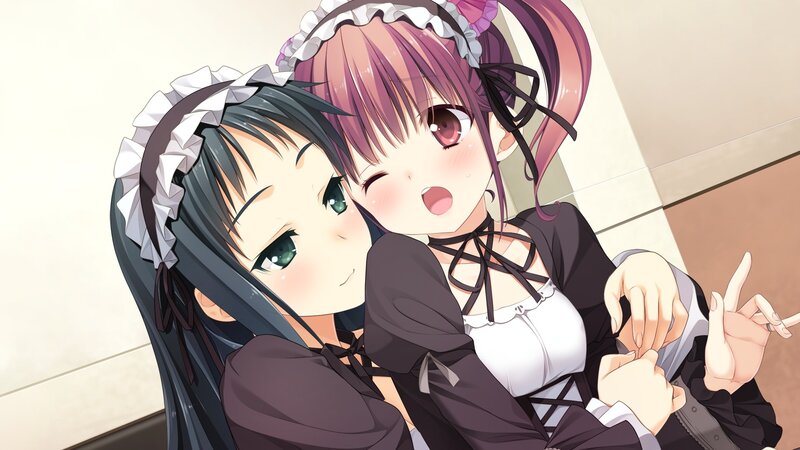 Two girls in maid outfits