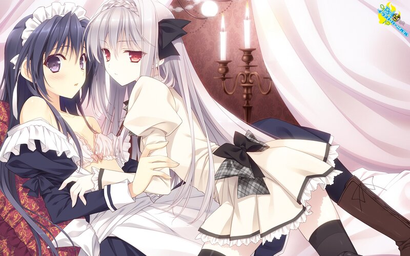 Two girls in maid outfits