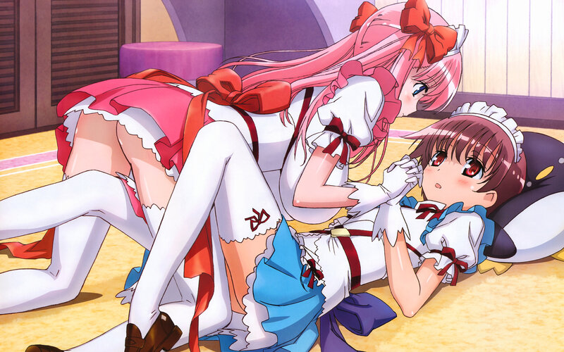 Two girls in maid outfits