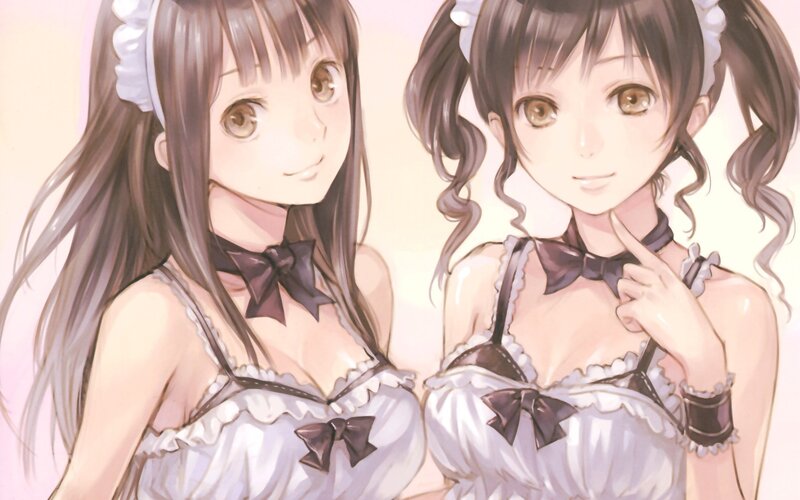 two girls in maid outfits
