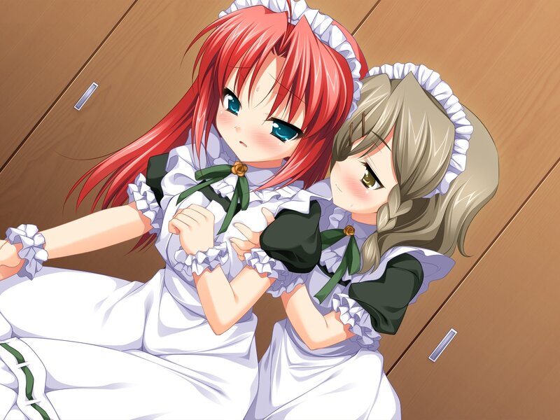 two girls in maid outfits