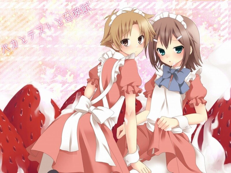 Two girls in maid outfits