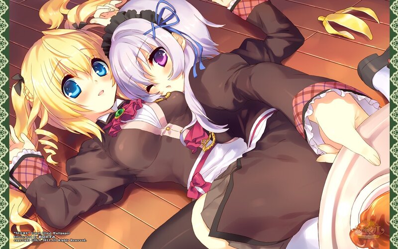 Two girls in maid outfits